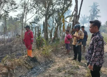 Kebakaran lahan persawahan di Dusun Canggal, Kalurahan Merdikorejo, Kapanewon Tempel, Kabupaten Sleman.