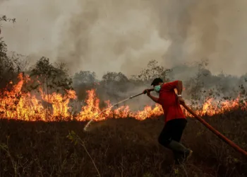 BNPB mengevaluasi teknologi dry ice untuk penanganan karhutla, sementara operasi water bombing diperkuat di Taman Nasional Tanjung Puting, Kalimantan Tengah.