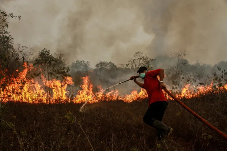 BNPB mengevaluasi teknologi dry ice untuk penanganan karhutla, sementara operasi water bombing diperkuat di Taman Nasional Tanjung Puting, Kalimantan Tengah.
